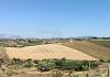 Ore di incendi nel Trapanese e Palermitano. Canadair in azione tra Alcamo e Partinico