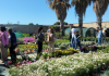 Mazara, Cooperativa Sociale Creativamente: al Vivaio “Il Melograno” la natura insegna l'inclusione