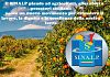 Sinalp plaude agli agricoltori, allevatori e pescatori siciliani uniti per un nuovo movimento di resistenza e proposta 