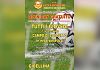 ASD Città di Salemi, nei giorni 17 e 24 settembre open day gratuiti a Gibellina 