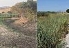 ​Trapani, avviata la pulizia straordinaria dei torrenti Lenzi e Canalotti