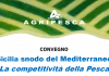 Mazara, Pesca, l'11 luglio workshop organizzato da Agripesca 