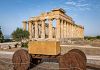 Educational al Parco archeologico di Selinunte per gli insegnanti
