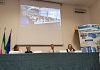 Polo Liceale : Presentazione del percorso di sperimentazione nazionale “Biologia con curvatura biomedica”