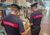 Controlli tra Carini, Cinisi e Capaci: un arresto, 97 tonnellate di alimenti sequestrati e una pistola recuperata