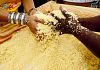 Cous Cous Fest: Sal Da Vinci in concerto sulla spiaggia venerdì 18 settembre