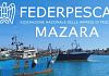 Gambero rosso nel Canale di Sicilia, Federpesca riunisce a Mazara del Vallo marineria e istituzioni