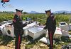 Partinico, scarica frigoriferi e rifiuti in un terreno: 32enne denunciato dai carabinieri