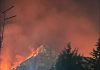 Incendio a San Giuseppe Jato, il sindaco traccia il bilancio