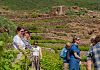 Pantelleria DOC ha accolto i 