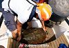 Recupera tartaruga caretta caretta a Pantelleria 