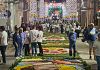 Oltre ventimila presenze nella quarta edizione dell'infiorata