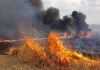 Mazara: pubblicata l'Ordinanza per la pulizia dei terreni e la prevenzione incendi