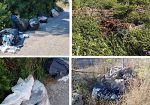 Riserva Lago Preola e Gorghi Tondi, cresce allarme per abbandono di rifiuti. Il WWF chiede più controlli e telecamere
