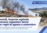 Incendi in Sicilia, le imprese agricole possono segnalare i danni subiti tra agosto e settembre 2026