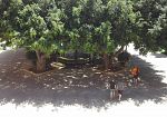 Mercoledì 16 settembre, manutenzione alla cabina Municipio: sospesi i servizi del Comune di Marsala