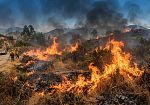 Rinnovabili e incendi: stretta sui controlli in Sicilia