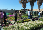 mazara-cooperativa-sociale-creativamente-al-vivaio-il-melograno-la-natura-insegna-linclusione