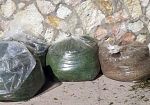 Alcamo, il 22 maggio e il 12 giugno raccolta straordinaria di sfalci, potature e rifiuti ingombranti