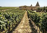 Marsala oltre le mura, la Repubblica delle cento contrade