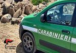 San Vito Lo Capo, cavalli sotto il sole e con poca acqua: denunciato il proprietario