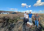 Fenicottero rosa salvato a Pantelleria e restituito alla libertà nelle Saline di Trapani e Paceco