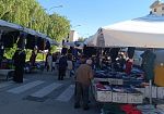 Alcamo, tornano le domeniche del mercatino settimanale