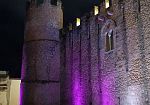 Alcamo, il Castello dei Conti di Modica s'illumina di viola per la Giornata mondiale della fibromialgia 