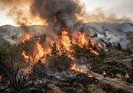 Sicilia nella morsa dei roghi: mille interventi e un territorio ostaggio dell'incuria