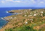 Pantelleria ospiterà la prima edizione di “Genius Loci dell’Elaio-Enogastronomia