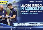 Marsala e Petrosino, scoperti 15 lavoratori in nero e 4 irregolari nel settore agricolo