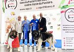 Mazara, il trionfo della famiglia Catania ai Mondiali di Esposizione Canina 2026 a Bologna
