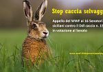 No alla riforma della caccia, fronte compatto del Wwf in Sicilia e appello ai senatori