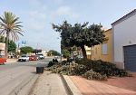 Petrosino, al via gli interventi di manutenzione del verde e pulizia delle scuole