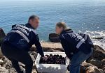 Guardia Costiera di Trapani: sequestrati 500 ricci di mare a un diportista