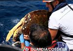Pantelleria, la guardia costiera recupera tartaruga caretta caretta