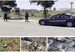 Blitz Antimafia a Petrosino: inchiesta ridimensionata dal GIP