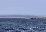 (VIDEO) Incendio al porto di Marsala: la densa colonna di fumo nero era visibile da Petrosino