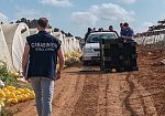 ​Lesioni colpose per incidente sul lavoro, denunciata una imprenditrice di Partanna