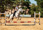Nasce la Segesta Horse Cup 2026: a Buseto Palizzolo la finale del Campionato Regionale Fitetrec-Ante