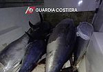 San Vito Lo Capo, sequestrati 8 quintali di tonno rosso senza tracciabilità