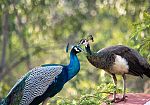 La 
