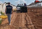 Lesioni colpose per incidente sul lavoro: denunciata imprenditrice di Partanna