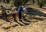 Valle dei Templi: open day agli scavi del Ceramico di Agrigento per mostrare le fornaci greche riemerse