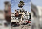 Pantelleria, rimosso tonno sul lungomare interessato dai lavori del waterfront