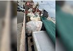 Trasporto illecito di rifiuti speciali, sanzionato un uomo al porto di Trapani