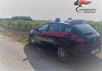 ​Braccianti aggrediti a Marsala. I sindacati: “Atti vili e inaccettabili, chiediamo sicurezza”