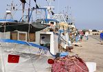 Il CdA del GAL Pesca Trapanese approva le linee di indirizzo della Strategia territoriale di sviluppo