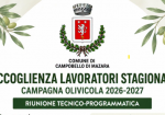 Campagna olivicola 2026/2027: appello del sindaco agli imprenditori agricoli di Campobello