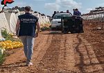 Contrasto al caporalato tra Marsala e Petrosino, denunciati due imprenditori agricoli